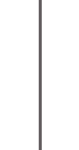 linea