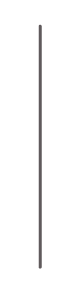 linea